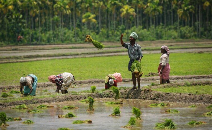 Farmers enriching the soil by hand